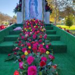 Garden flowers blue statue shrine